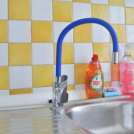 アパート Historic Mexico Building リュブリャナ