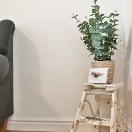 Apartman Historic Mexico Building *