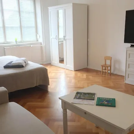 Historic Mexico Building Apartman Ljubljana