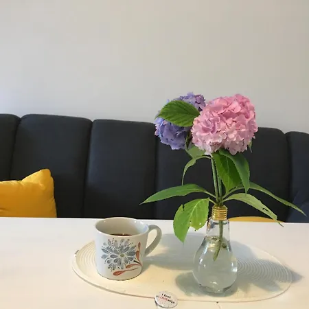 Historic Mexico Building Апартаменты Любляна